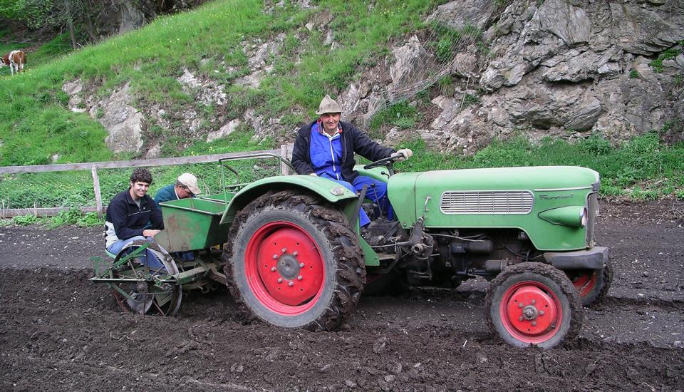 Agricoltura al maso Leiten in Val di Vizze