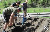 Planting potatoes at the Leitenhof