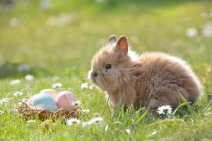 Easter at Sterzing