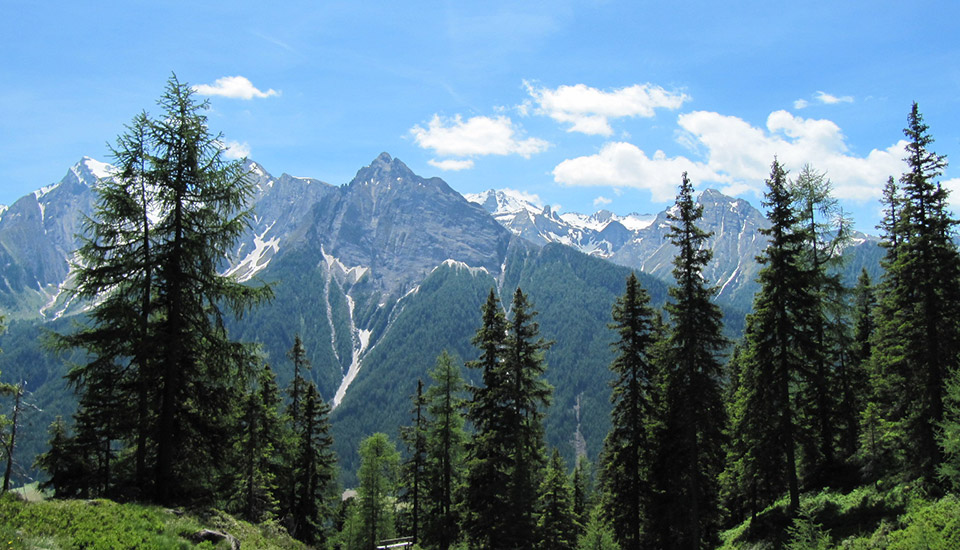 Hiking in Pfitsch