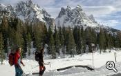 Snowshoe hike through the forest